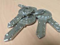 USM Haller Schlüssel Ersatzschlüssel 231
