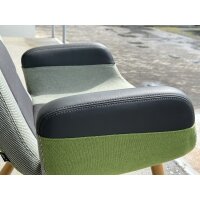 Vitra East River Chair grün